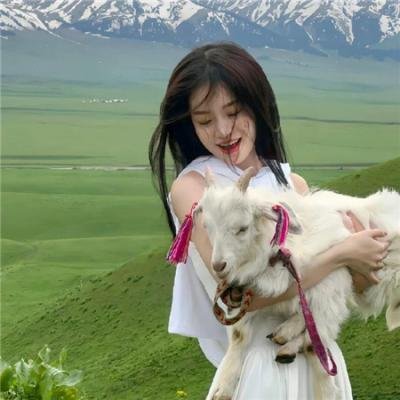 两个阿尔弗雷德